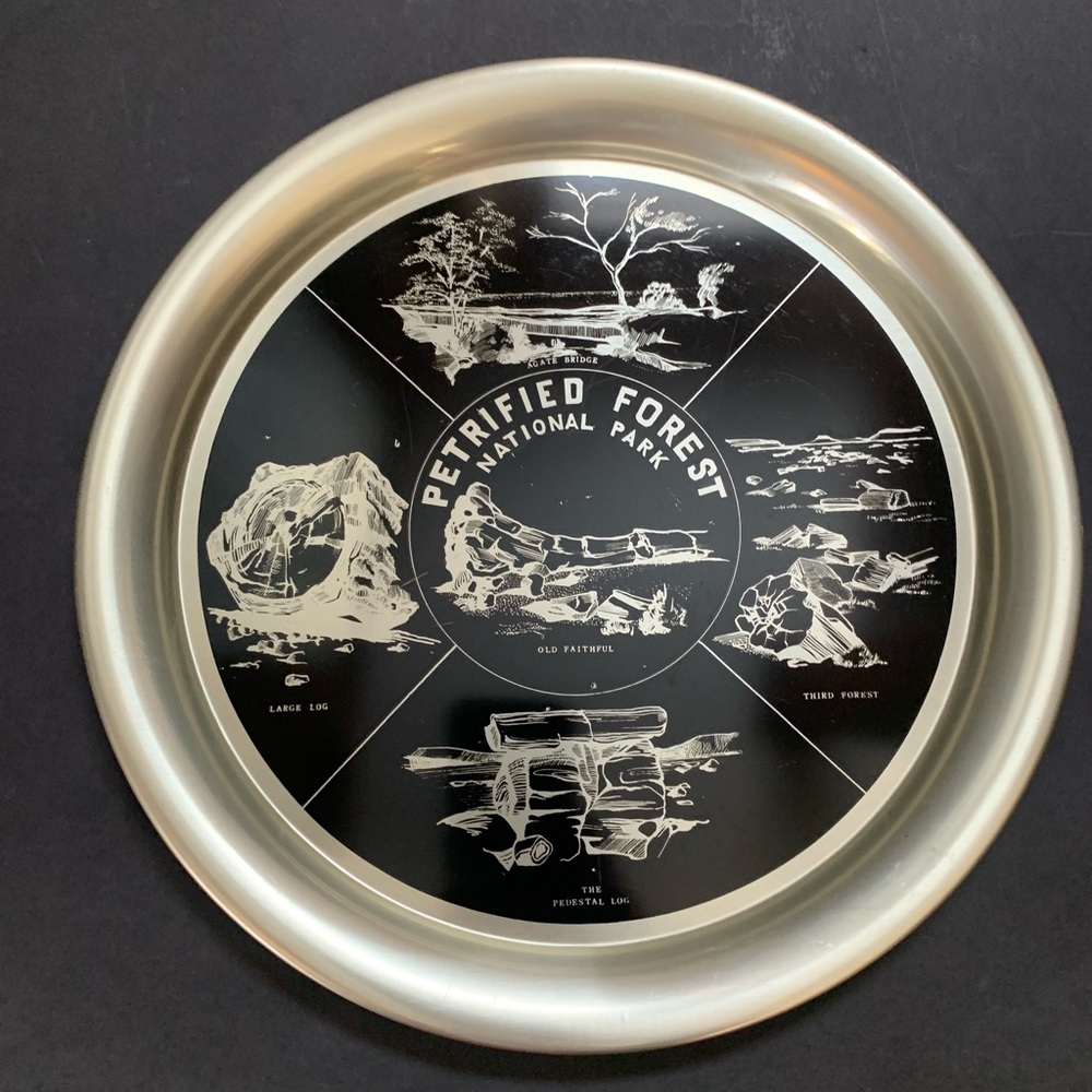 Vintage Petrified Forest National Park Metal Tray